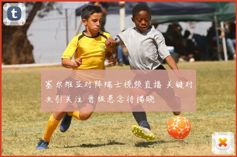 塞尔维亚对阵瑞士视频直播 关键对决引关注 晋级悬念待揭晓